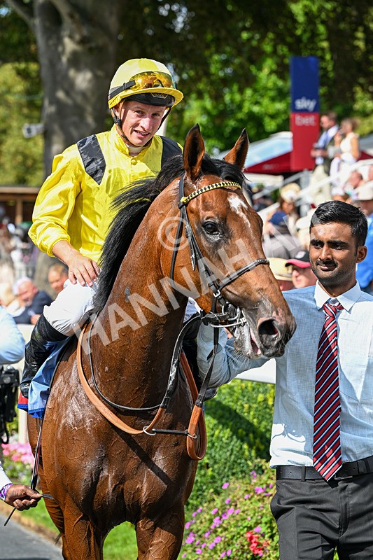220826-Race 2-Infraad-9841 - Race 2 14.25pm Sky Bet Melrose Handicap
