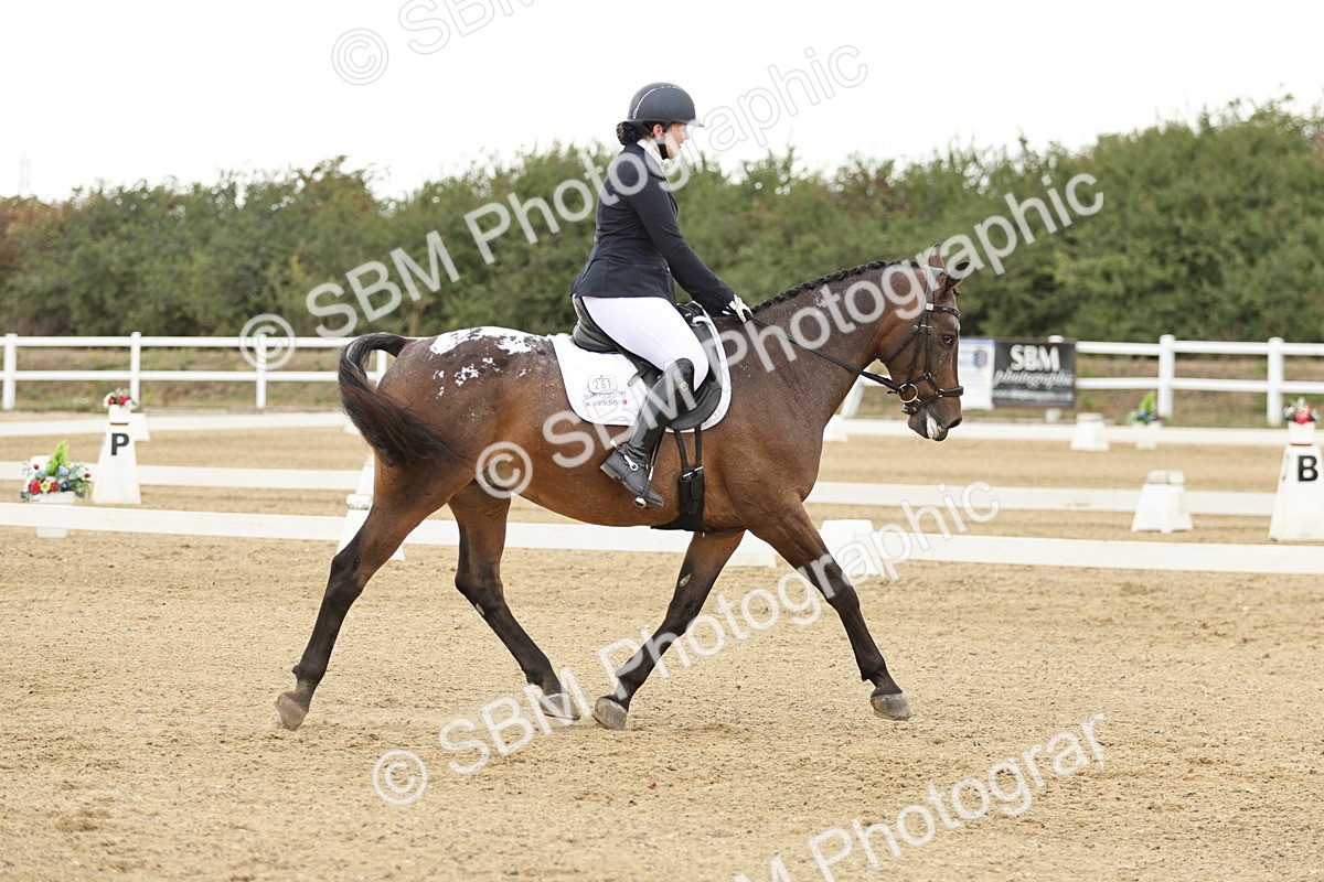 SBM_007004 - Class 21 - Medium 5 Bronze - 10.04-10.52