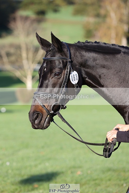 241027-085557-14905 - 463-Ilaria.Serra-FOXBURY.STORMBORN