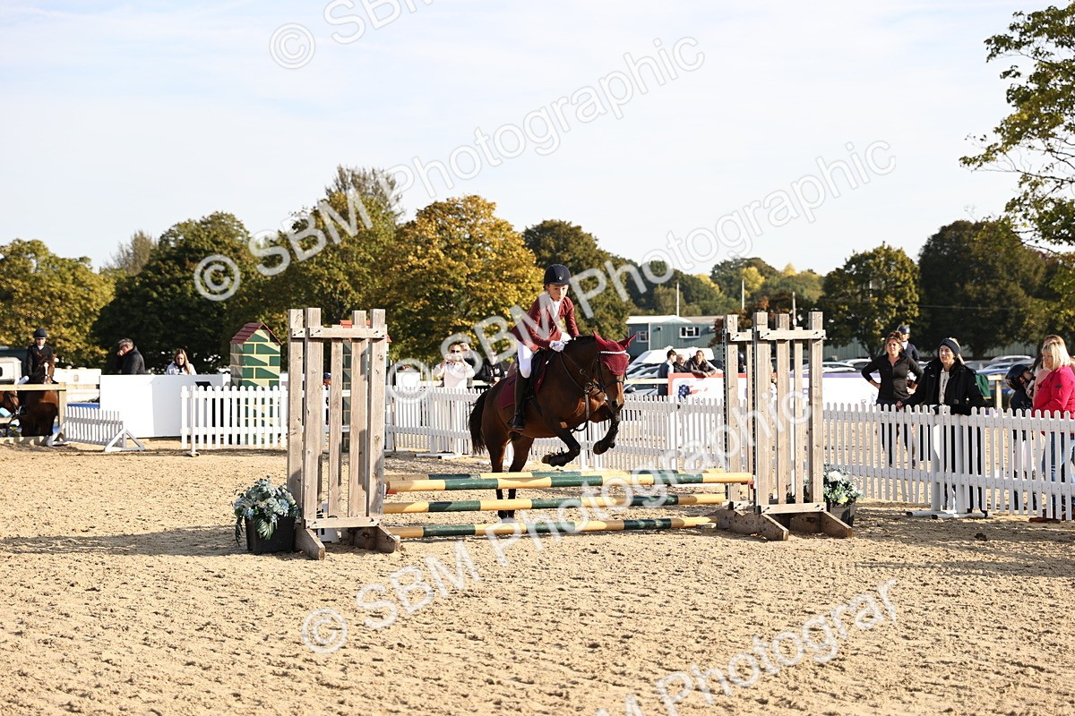 SBM_59642 - J11 - Junior Pony 50cm Championship