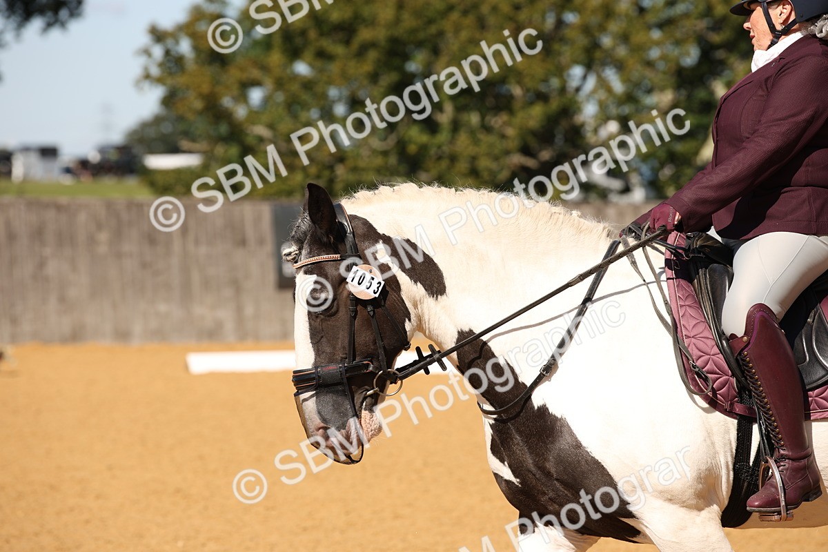SBM_21665 - D5 - Small Tour Championship - Intro C