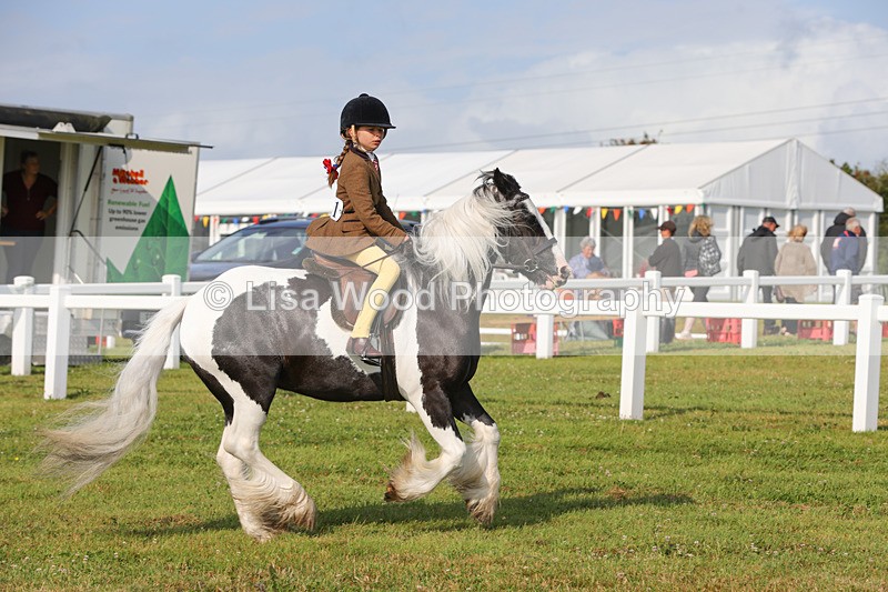 1X9A3251 - Class 28: Ridden Native/Trad Coloured Pony
