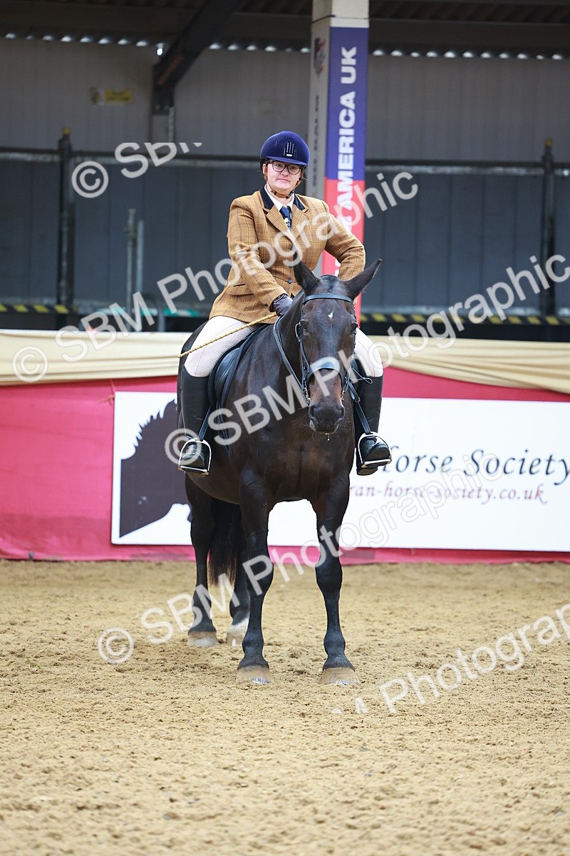 SBM_09844 - Class 102 - HOYS Veteran Qualifier - Ridden Veteran