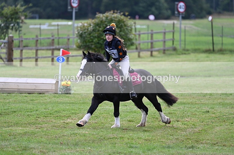 WJ7_8020 - 40cm Time 10:49 to 11:18