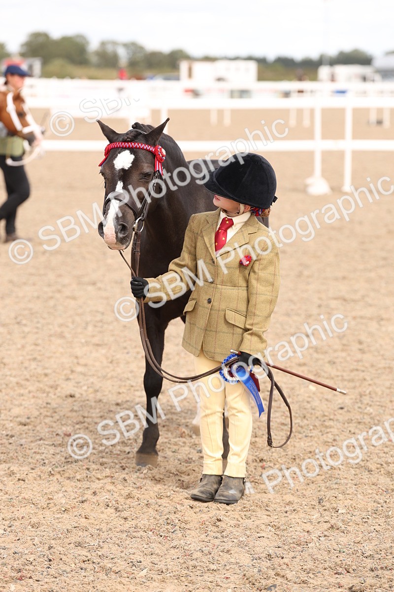 SBM_15143 - Class 209 - IH Veteran Pony