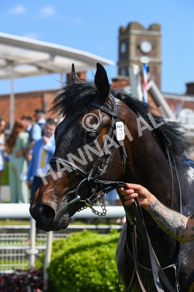 270523-Race 2-Native American-0357 - Race 2 2.10pm Collective Green Energy EBF Restricted Novice Stakes