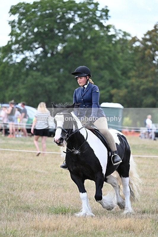 WJ7_5366 - Class 12 Ridden Cob