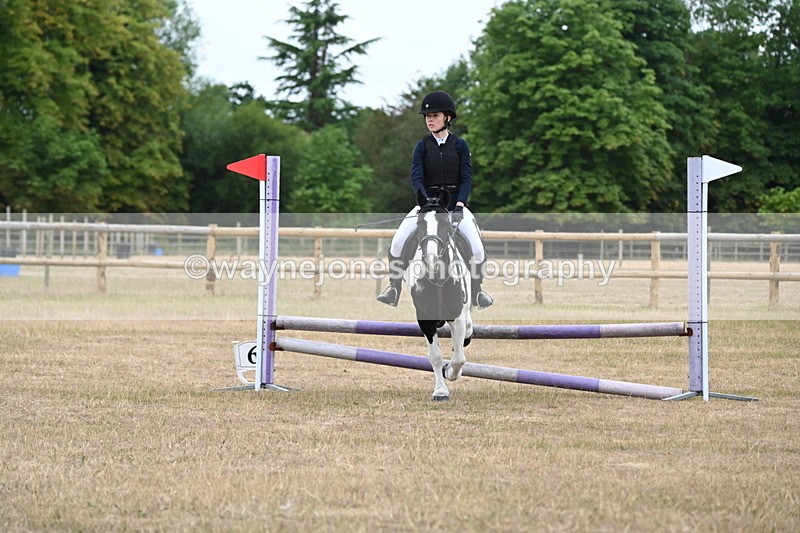 WJ6_0317 - Class 13 Novice Jumping 60cm