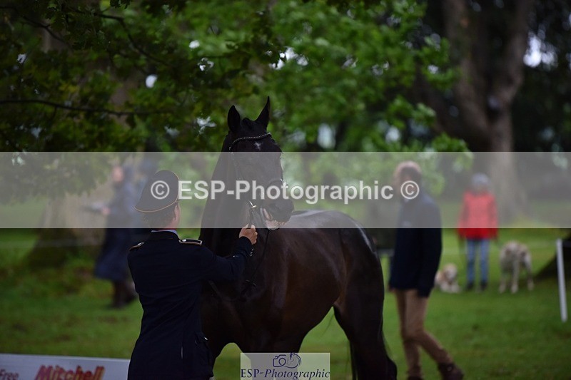 240522-162408-00889 - 205-BENOIT_BOLD-Felix_Etzel