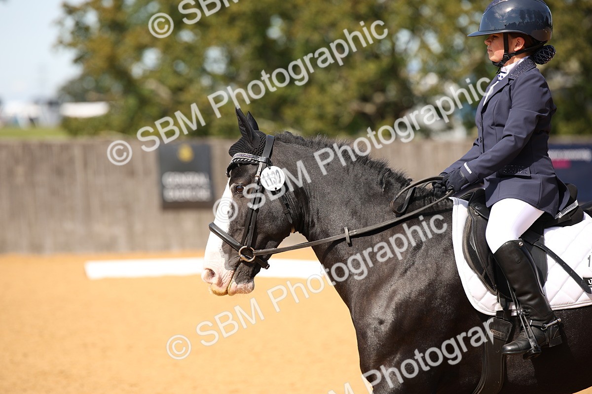 SBM_21730 - D5 - Small Tour Championship - Intro C