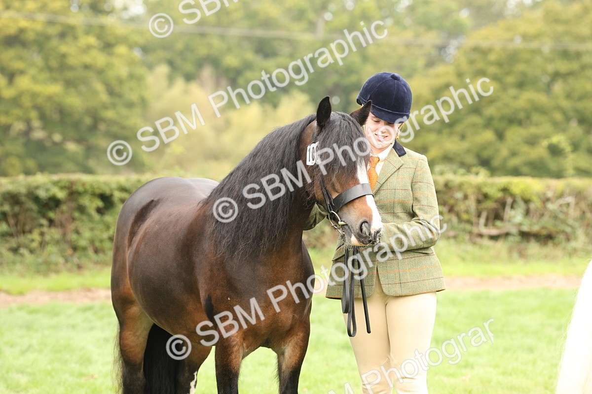 SBM_59330 - S57 - Traditional Cob In Hand