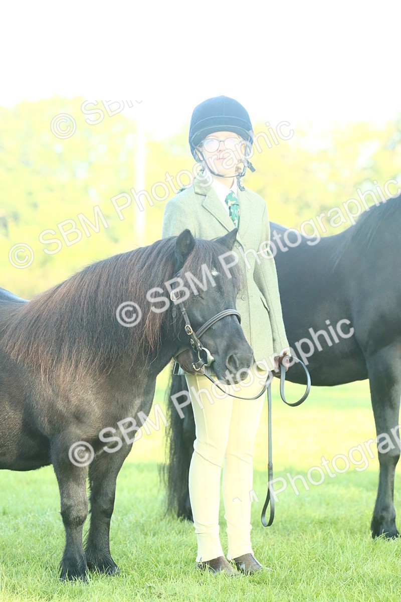 SBM_57464 - S37 - Starters In Hand Showing