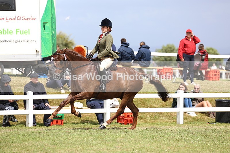 3E7A2541 - Open Ridden Championship