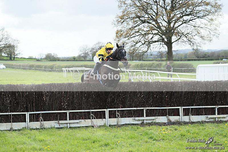 PtP 180426 852 - Worcestershire Hunt PtP Chaddesley Corbett 18/04/26