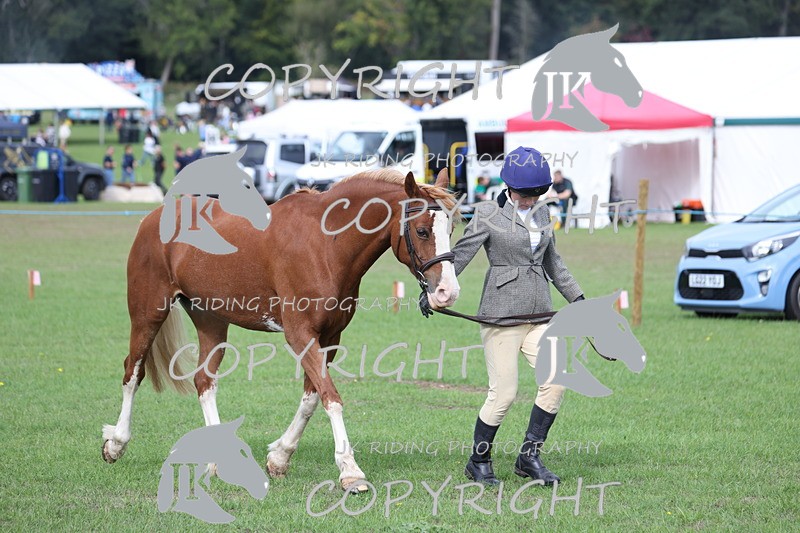 APP_2646 - Class 9 Veterans in hand
