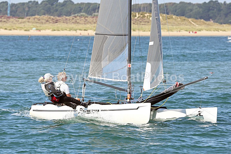 160830 HOBIE TIGER 770 Y92A8528_Edit - 160830 HOBIE TIGER 770