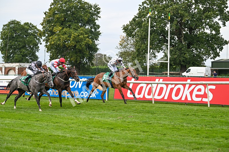 060925-Race 1-Dunkeld Dreamer-4177 - Race 1