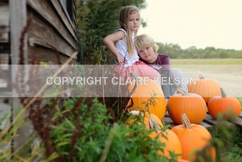 DSC_8811-5 copy - SEASONAL OUTDOOR SHOOTS - PUMPKINS