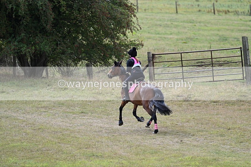 WJ7_6102 - Time 11:50 to 12:09