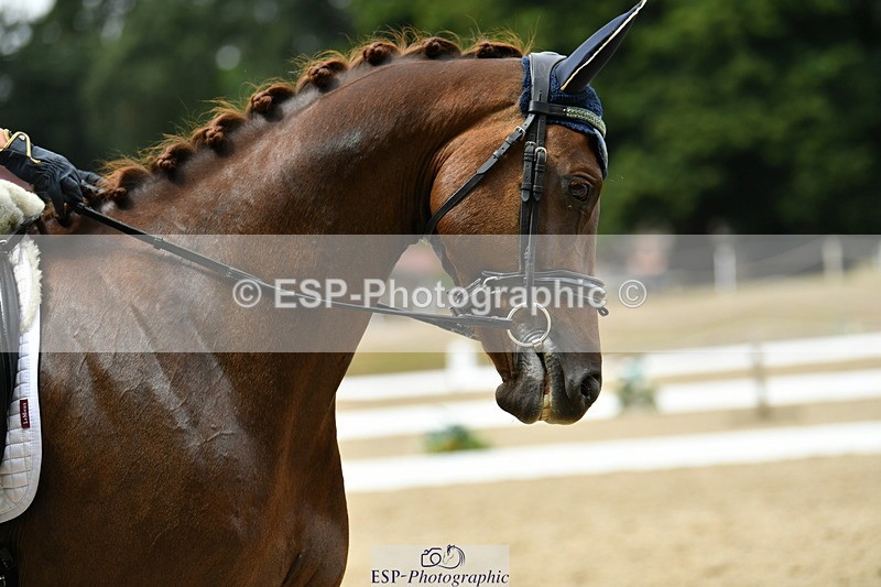 250718A-121232-01371 - 144-Verity.Perry-Vogue