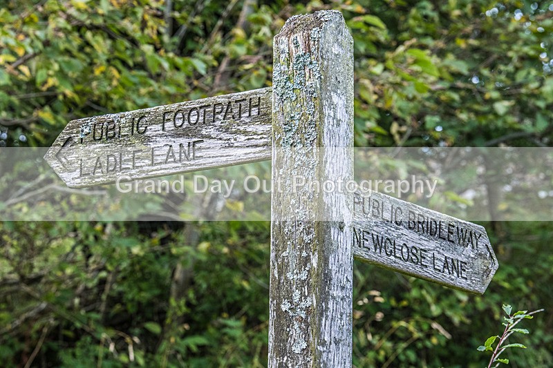 Westmorland-546 - Great Westmorland Trail Race (Junior & Senior Races) Saturday 13th September 2025