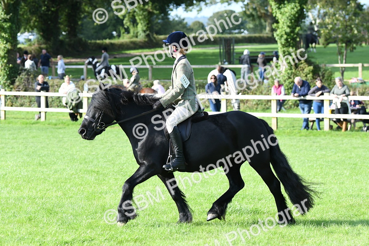 SBM_51980 - S21 - Novice & Newcomers 1st Ridden Pony