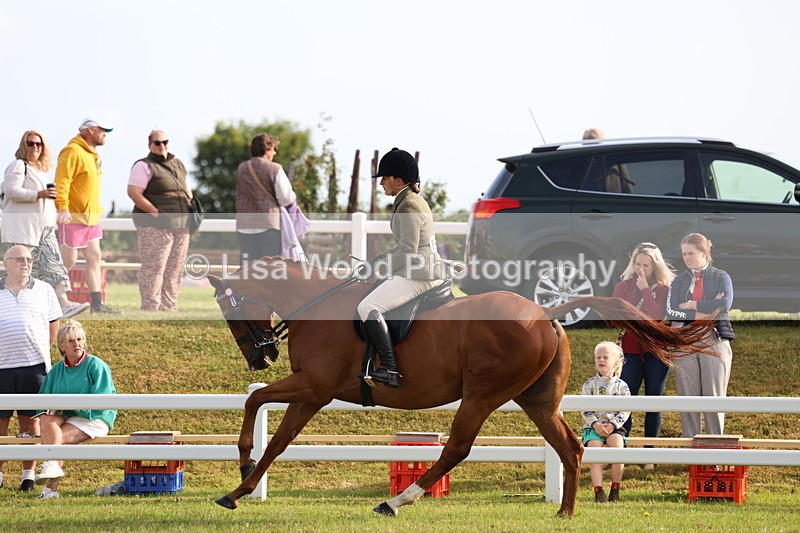 3E7A7761 - Class 1: Rising Star Small Hack/Riding Horses