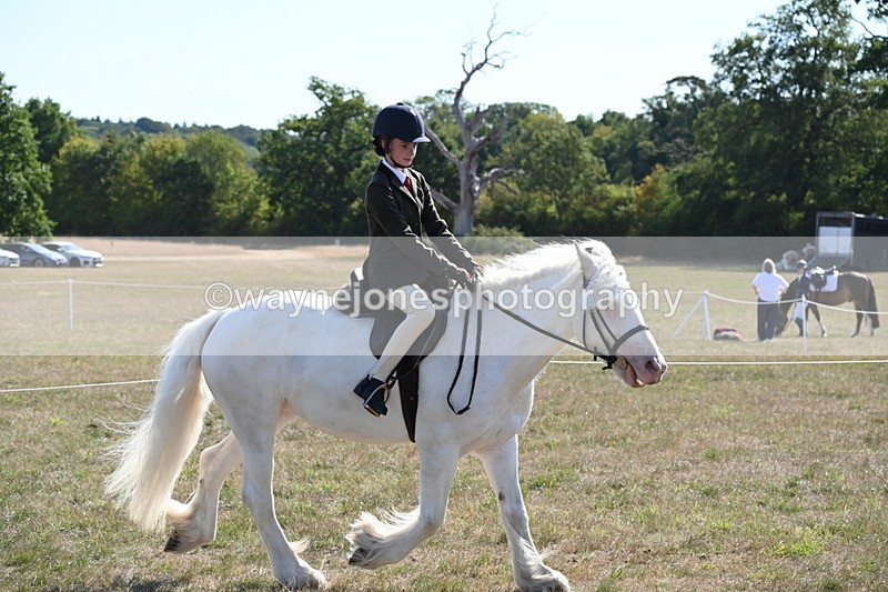 WJ6_7485 - Class 34 Judges Choice