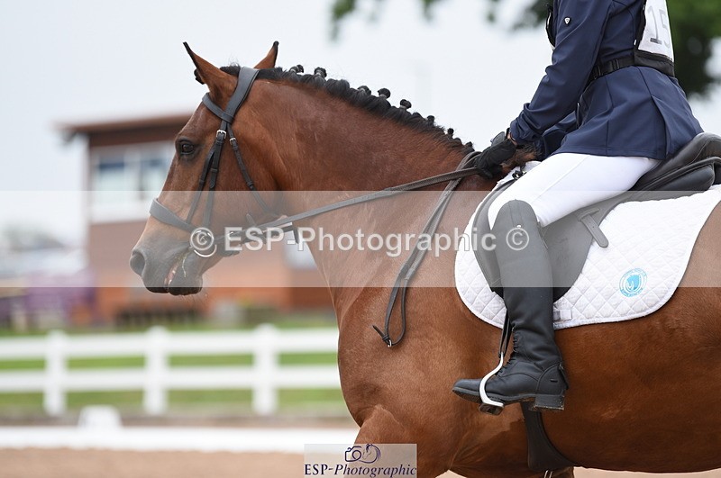 230708A-105204-01467 - Prelim 7