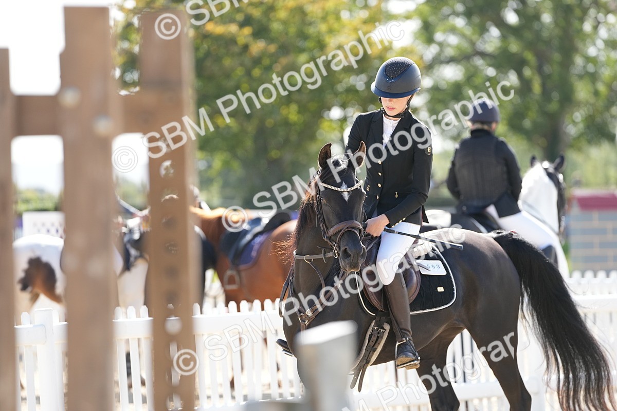 SBM_17972 - J58 - Clear Round 50cm