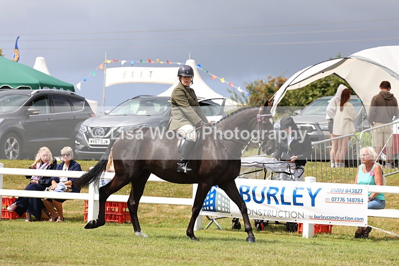 3E7A0781 - Class 8: Open Riding Horse/Hack