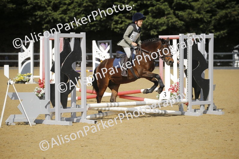 20250622-1621 - 40cm