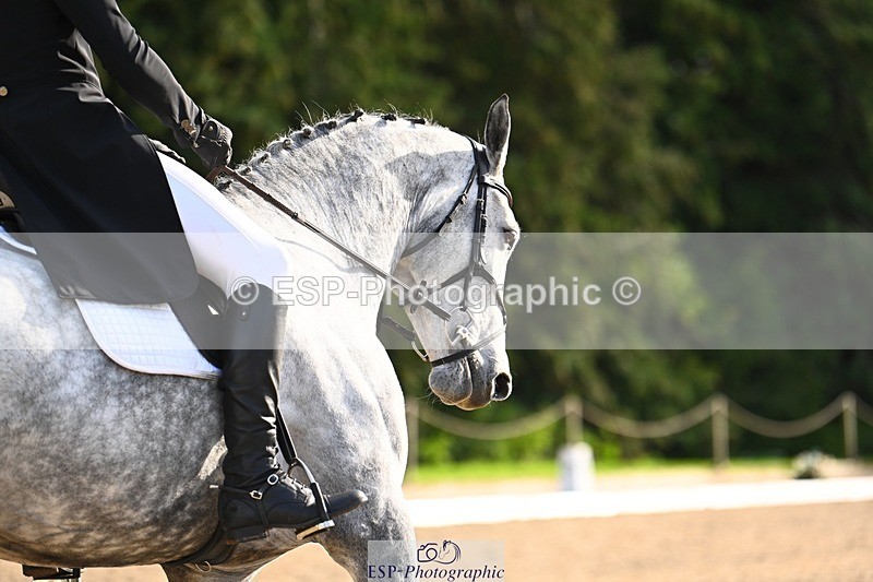 231021-141829-18684 - 252-A.LUCKY.STRIKE-Toby.Roach-DR