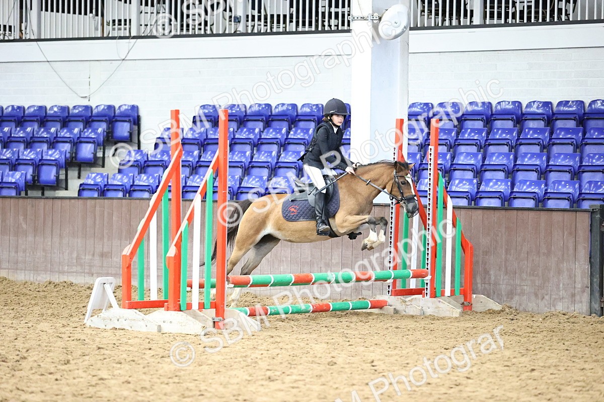 SBM_001031 - Class 4 -  Prestige Design & Workwear  60cm Area 12 Championship Qualifier