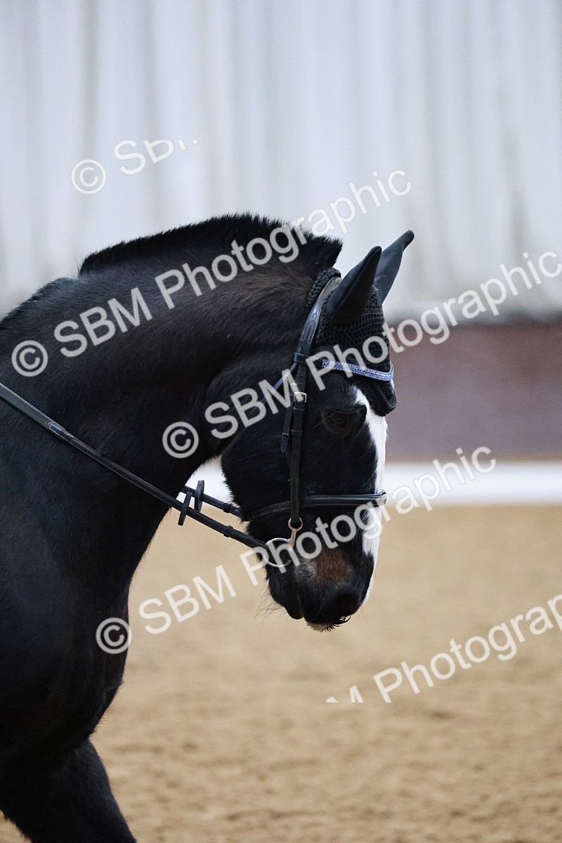 SBM_000162 - Class 17-6-18 - TQ U21 Novice 3Novice 3-MQ Open Prelim 1
