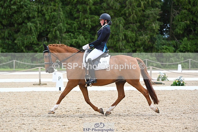 230813-134153-07625 - Cls 13 Medium Bronze 13.15 to End