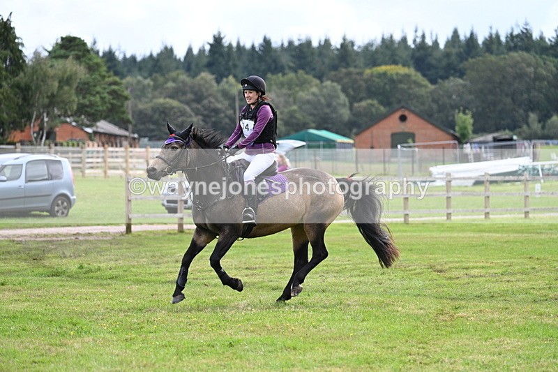 WJ7_9100 - 60cm Time 12:51 to 13:18