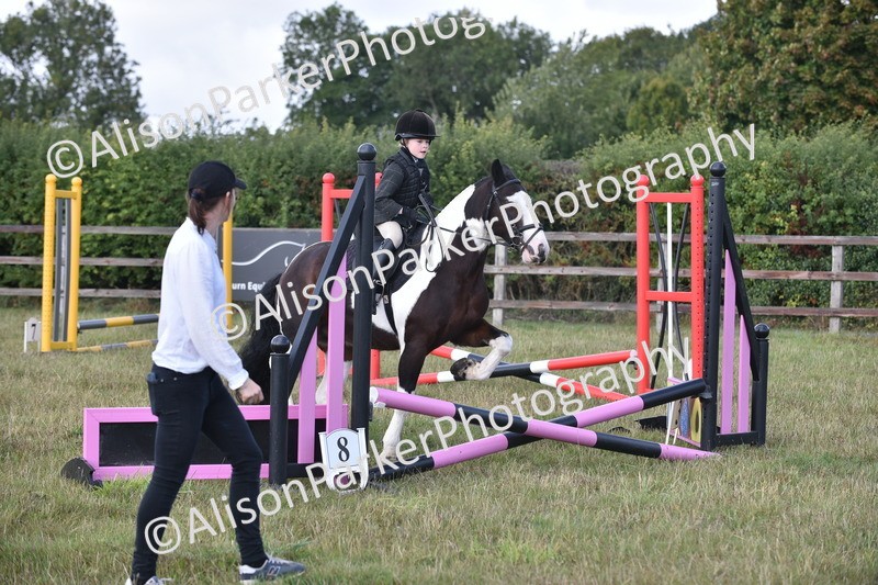 20250831-0461 - Class 7 - Absolute Novice 35cm