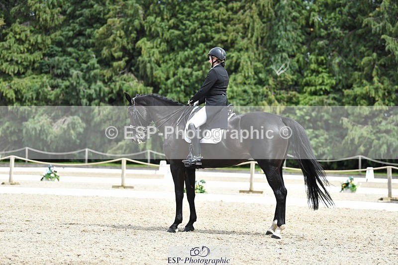 230812-140423-04593 - Cls 7 FEI PSG Bronze