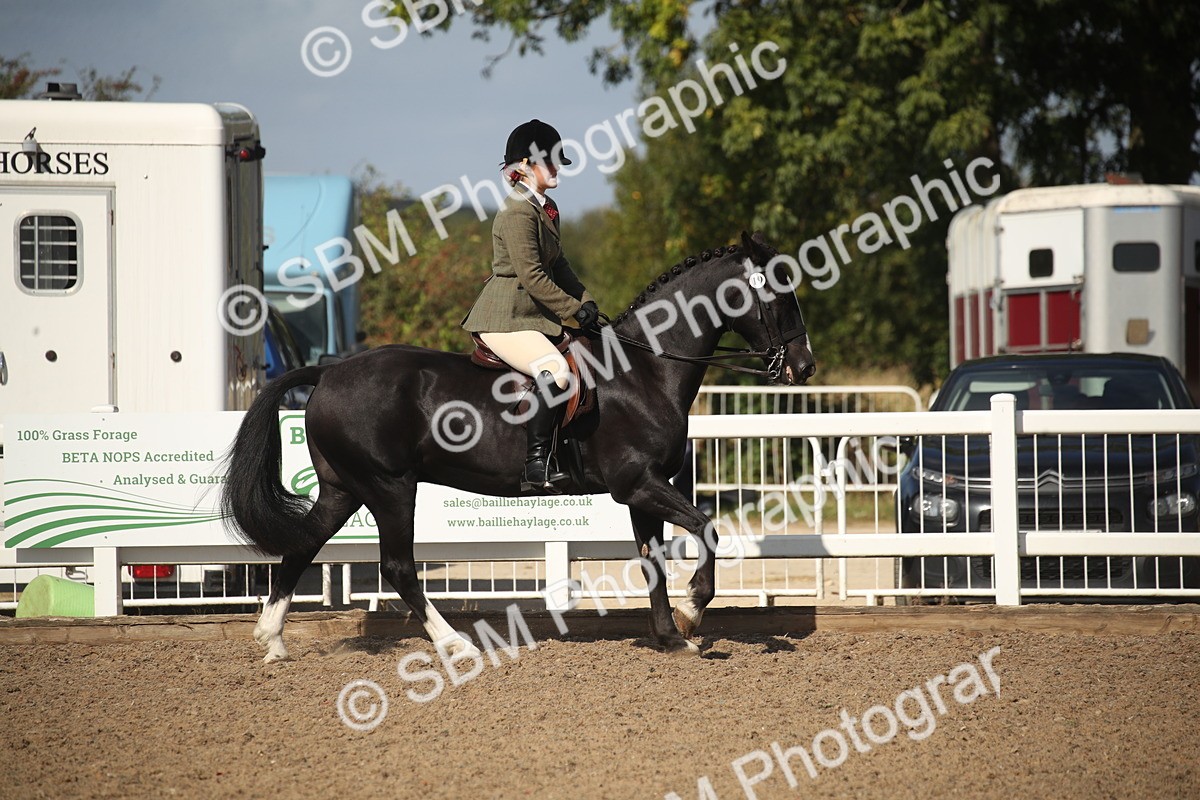 SBM_22905 - Class 603 - 2026 - Ridden Pre Vet