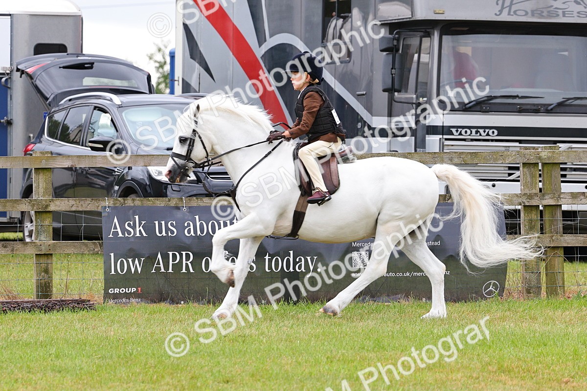 SBM_08692 - Class 42-43 - LIHS BSPS Heritage Working Sports Pony