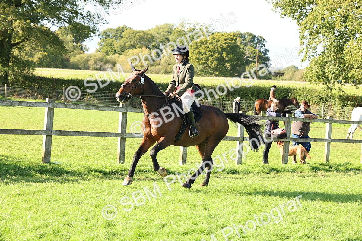 SBM_50140 - S34 - Novice & Newcomers Working Hunter