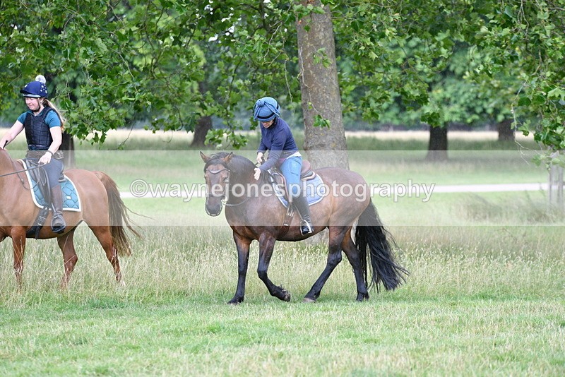 WJ5_2294 - Time at Jump 14:02 to 14:46