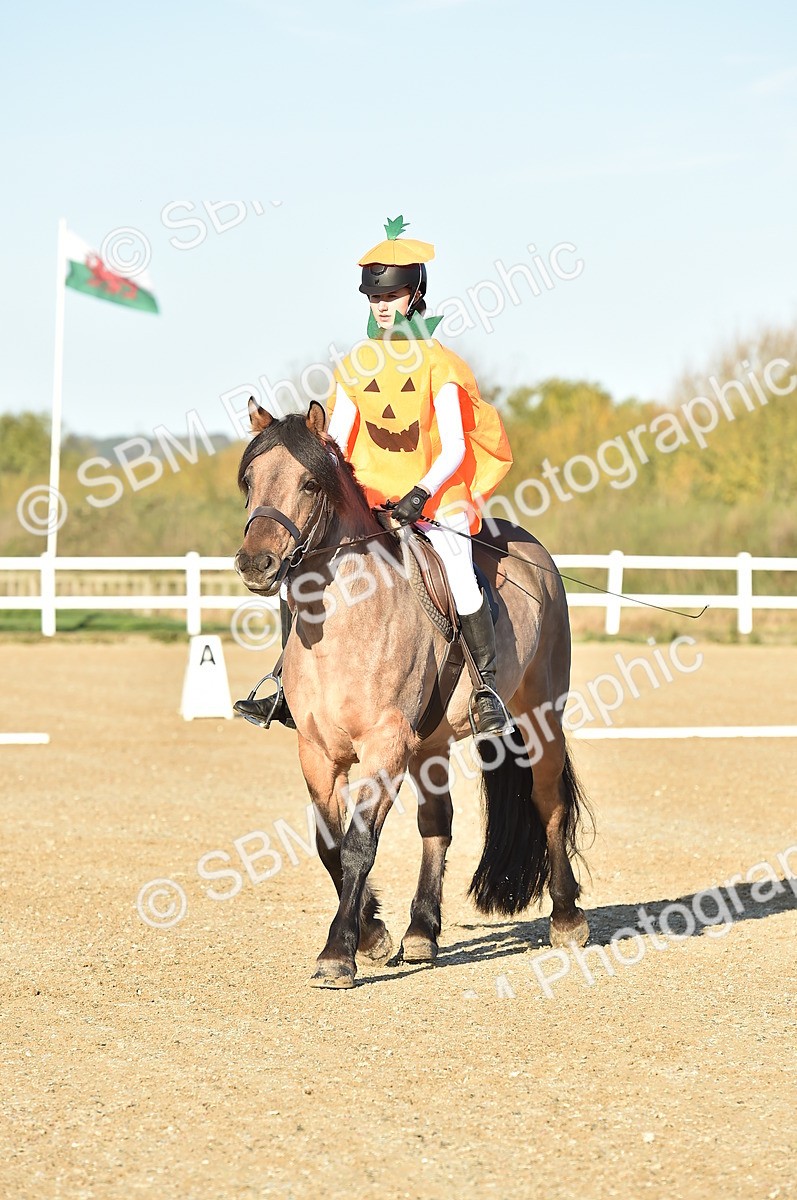 SBM_000087 - Class 2 - Intro B
