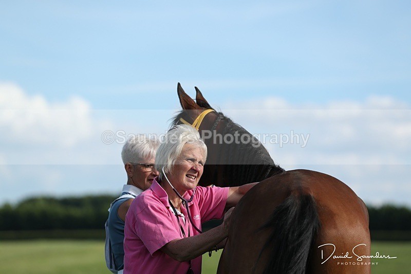 SPXX0119 - Friday vetting