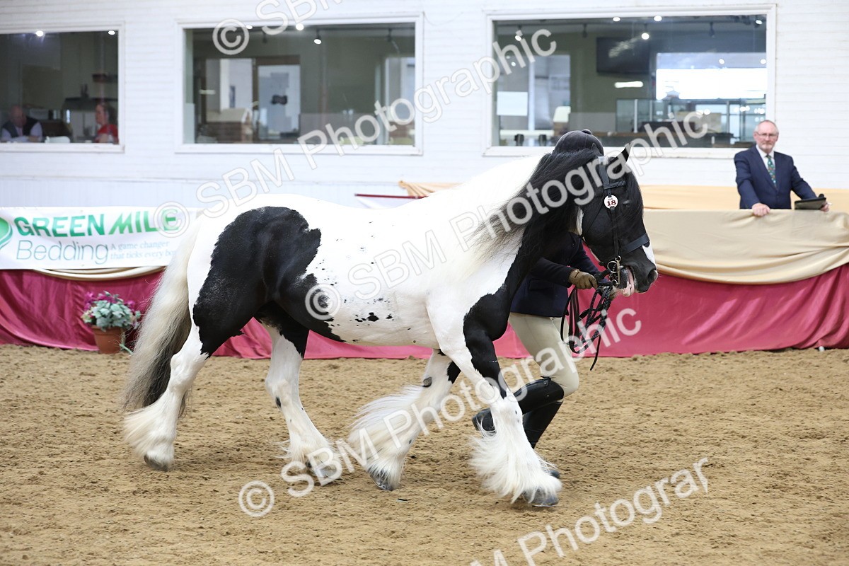 SBM_23679 - class 906 - Supreme Final - Ridden Pre Vet
