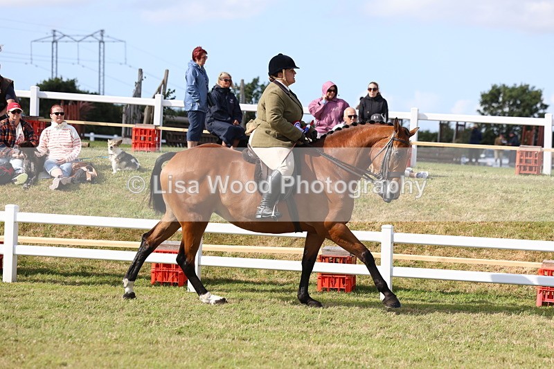 3E7A3885 - Supreme Championship