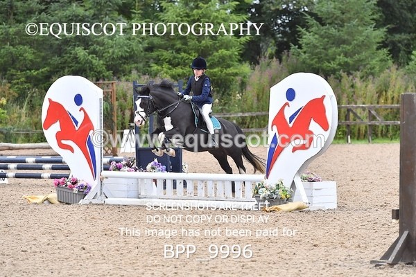 BPP_9996 - CLASS 4 SUN Derby Show Jumping 50CM