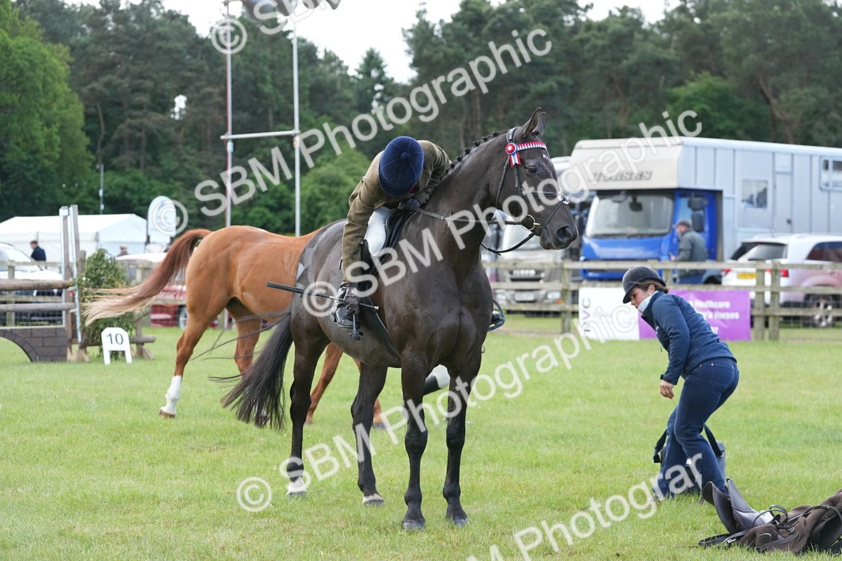 SBM_12959 - Class 99 - RIHS SEIB Working Show Horse