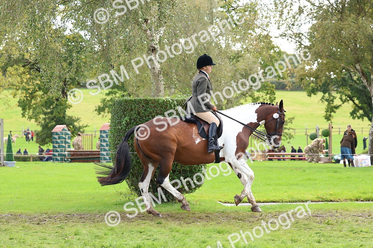 SBM_45207 - S27 - Young Veteran Ridden